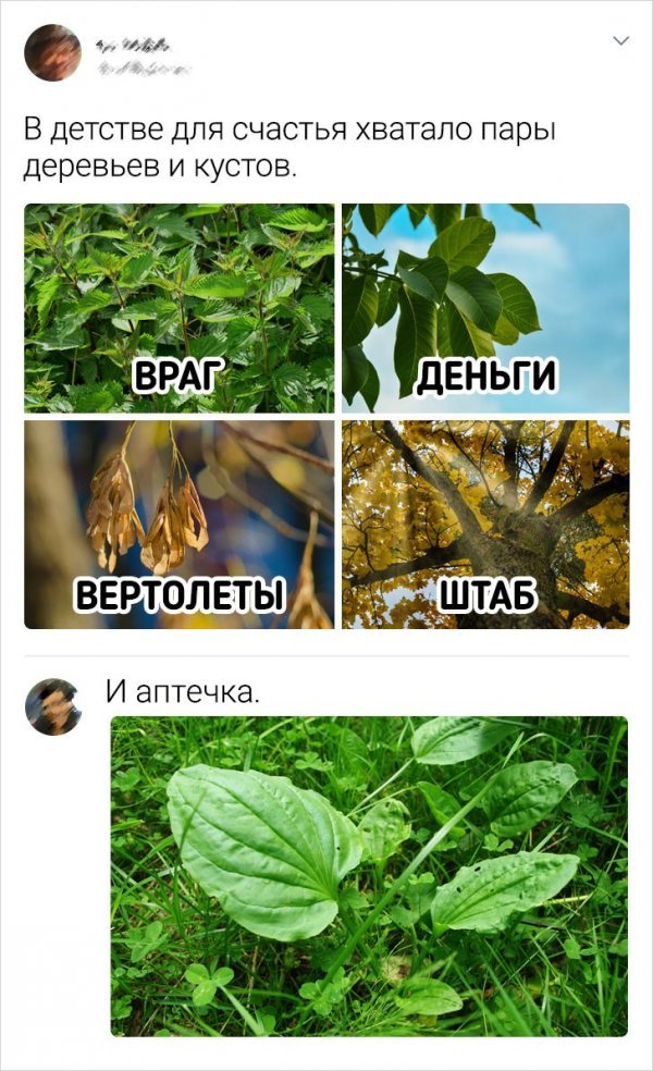 Пользователи Сети о советском детстве (17 фото) 66f9d653e9f9c.jpeg
