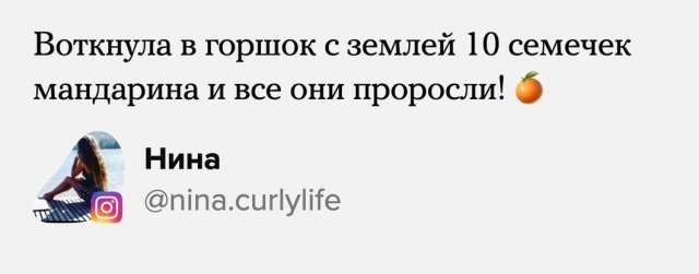 Пользователи Сети о своих достижениях в 2021 году (18 фото) 66f85e2294f47.jpeg