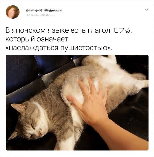 Позитивные сообщения пользователей соцсетей (17 фото) 66f855e6d475c.jpeg