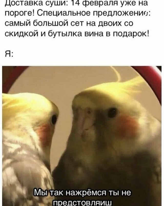 Прикольные картинки к 14 февраля (14 фото) 66f9fd733d950.jpeg