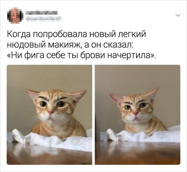 Приколы от девушек в соцсетях (24 фото) 66f9f3e46af9b.jpeg
