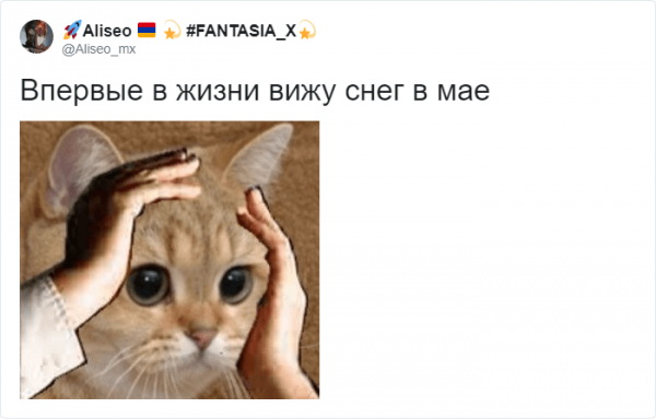 Реакция соцсетей на выпавший снег (13 фото) 66f9f1d2eff05.jpeg