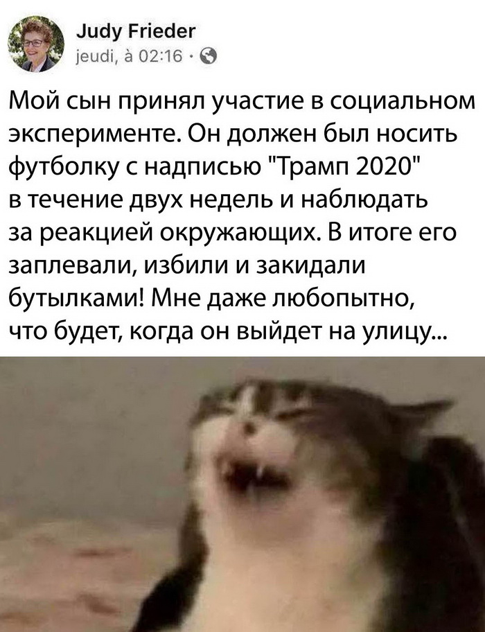 Скриншоты из социальных сетей. Часть 1005 (25 фото) 66f9fb1634004.jpeg