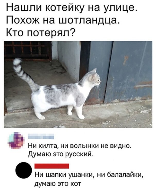 Скриншоты из социальных сетей. Часть 1014 (25 фото) 66f9f9496f021.jpeg