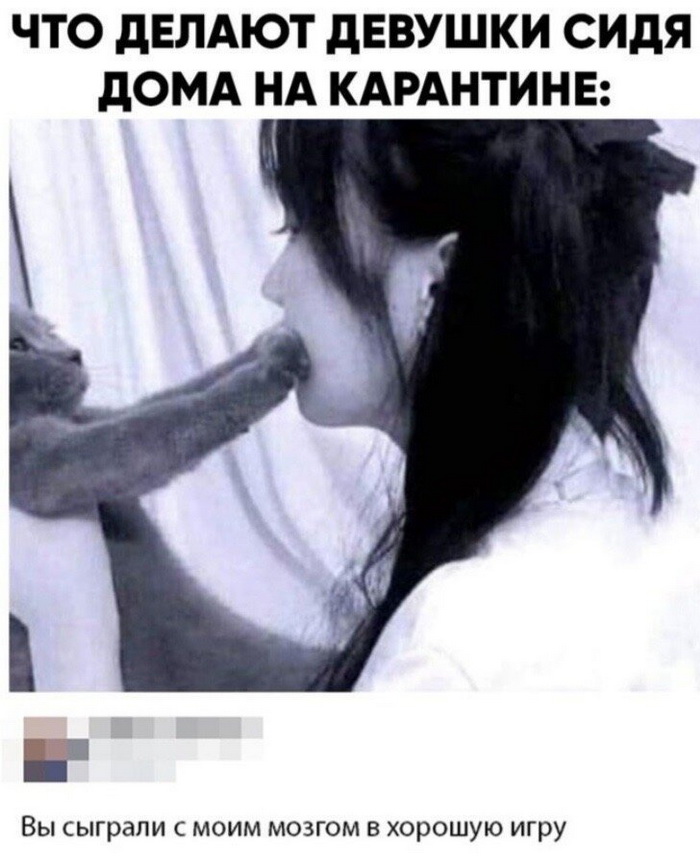 Скриншоты из социальных сетей. Часть 1020 (25 фото) 66f9f83f0e1df.jpeg