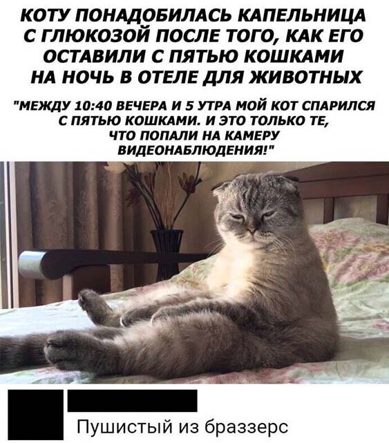 Скриншоты из социальных сетей. Часть 1031 (25 фото) 66f9f62ce747b.jpeg