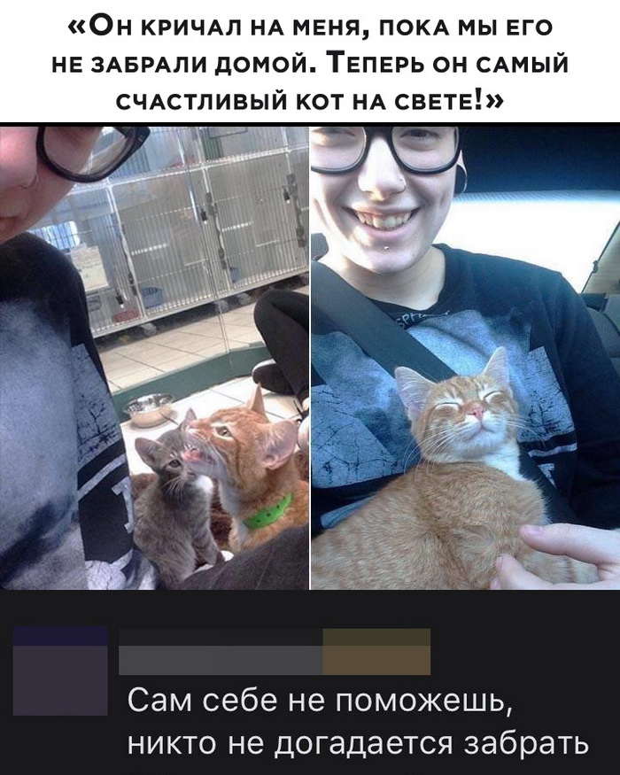 Скриншоты из социальных сетей. Часть 1049 (25 фото) 66f9f2c864226.jpeg