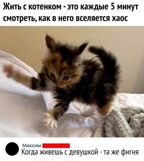 Скриншоты из социальных сетей. Часть 1079 (25 фото) 66f9ed90dc7da.jpeg