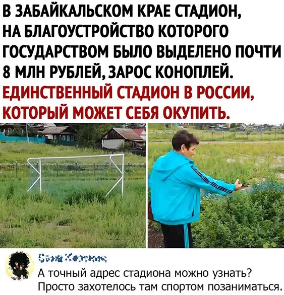 Скриншоты из социальных сетей. Часть 1110 (25 фото) 66f9e7fc378ac.jpeg