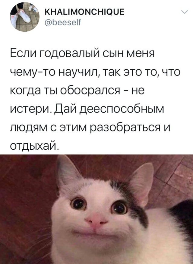 Скриншоты из социальных сетей. Часть 1128 (25 фото) 66f9e544894ae.jpeg