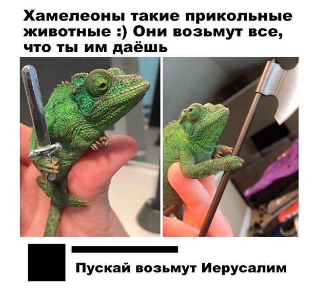 Скриншоты из социальных сетей. Часть 1146 (25 фото) 66f9e21563507.jpeg