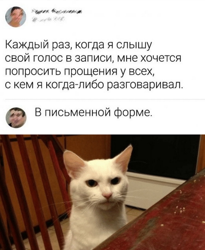 Скриншоты из социальных сетей. Часть 1153 (30 фото) 66f9e10a88f7d.jpeg