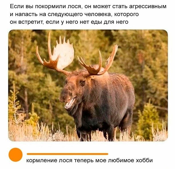 Скриншоты из социальных сетей. Часть 1159 (27 фото) 66f9e01432788.jpeg