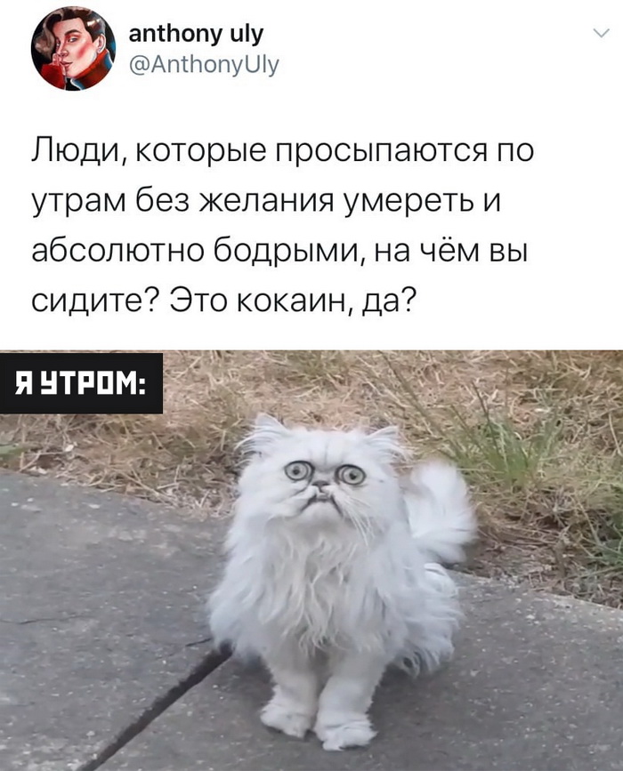 Скриншоты из социальных сетей. Часть 1169 (30 фото) 66f9de7ae088e.jpeg