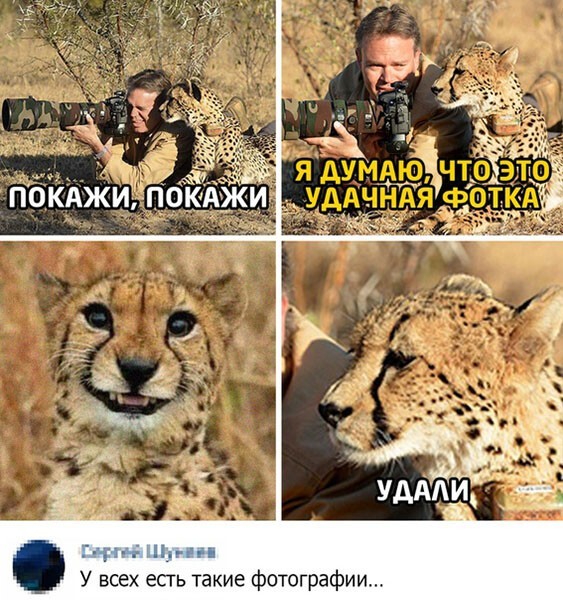 Скриншоты из социальных сетей. Часть 1170 (30 фото) 66f9de5d1ec41.jpeg