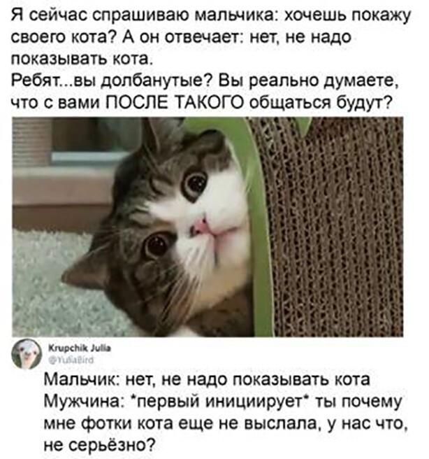 Скриншоты из социальных сетей. Часть 1195 (30 фото) 66f9d9f08ece1.jpeg