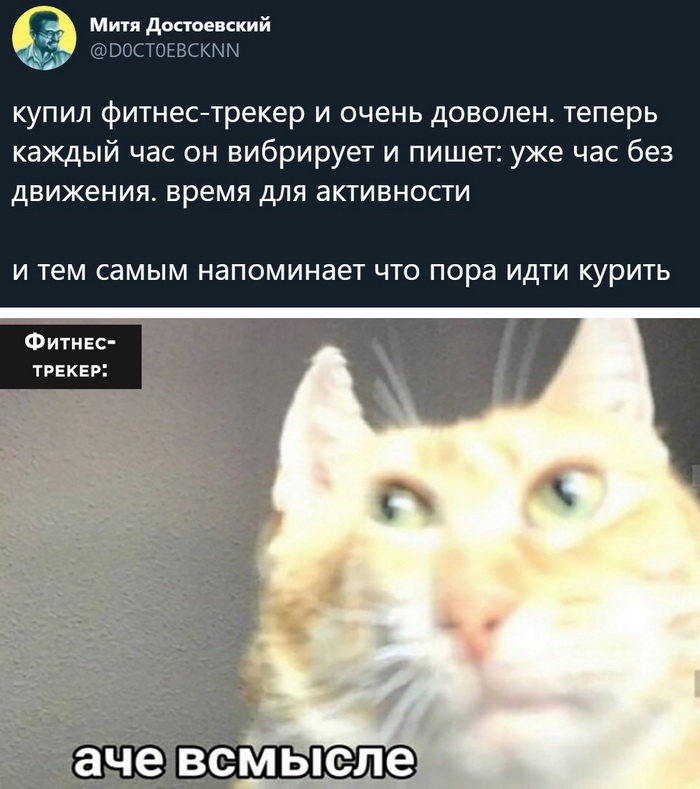 Скриншоты из социальных сетей. Часть 1198 (35 фото) 66f9d96adcecf.jpeg