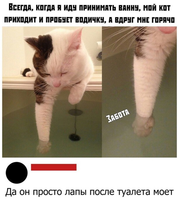 Скриншоты из социальных сетей. Часть 1204 (35 фото) 66f9d85703079.jpeg
