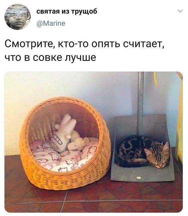 Скриншоты из социальных сетей. Часть 1212 (50 фото) 66f9d6dac2592.jpeg