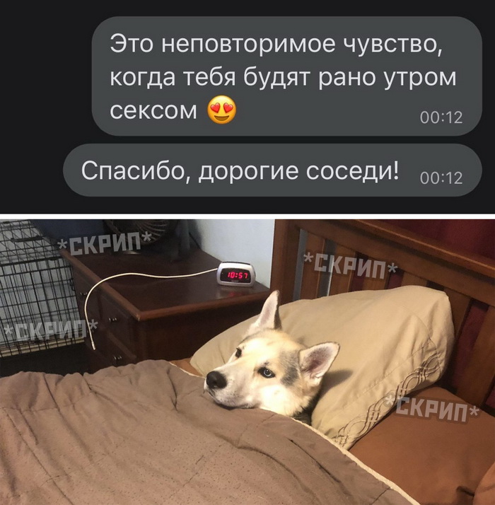 Скриншоты из социальных сетей. Часть 1228 (35 фото) 66f9d41998a45.jpeg
