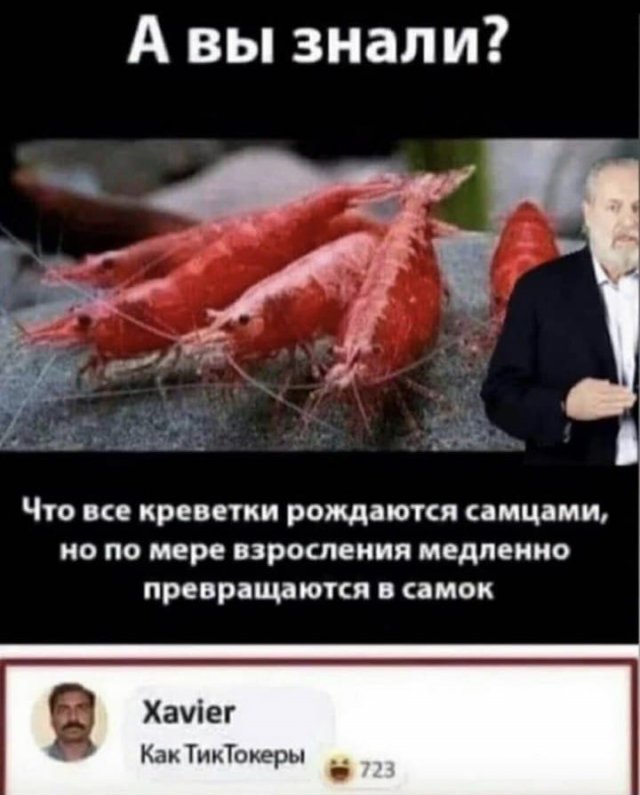 Скриншоты из социальных сетей. Часть 1229 (35 фото) 66f9d3e9e08cf.jpeg