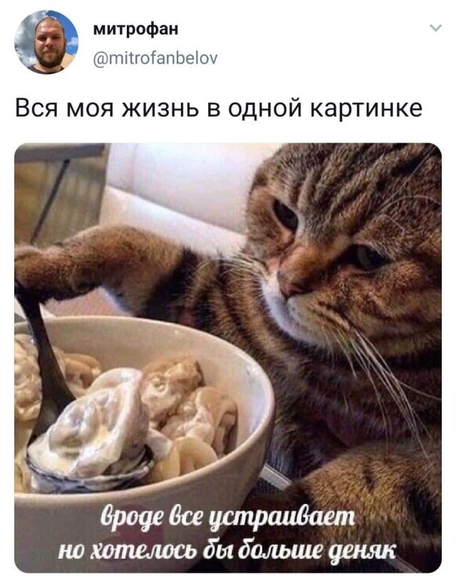 Скриншоты из социальных сетей. Часть 1238 (30 фото) 66f883de1f216.jpeg