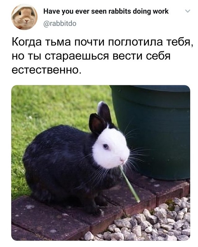 Скриншоты из социальных сетей. Часть 1245 (60 фото) 66f8828d39fa6.jpeg