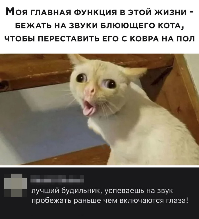 Скриншоты из социальных сетей. Часть 1246 (30 фото) 66f8826037183.jpeg