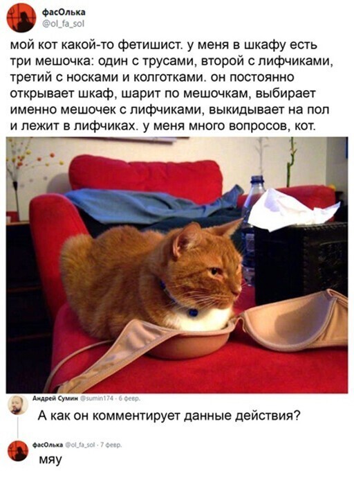 Скриншоты из социальных сетей. Часть 1249 (30 фото) 66f881e64bbf2.jpeg