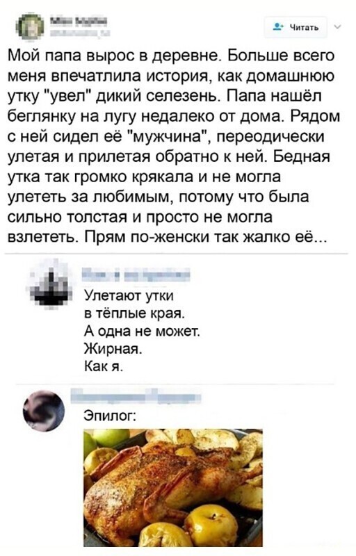 Скриншоты из социальных сетей. Часть 1253 (35 фото) 66f881339121b.jpeg
