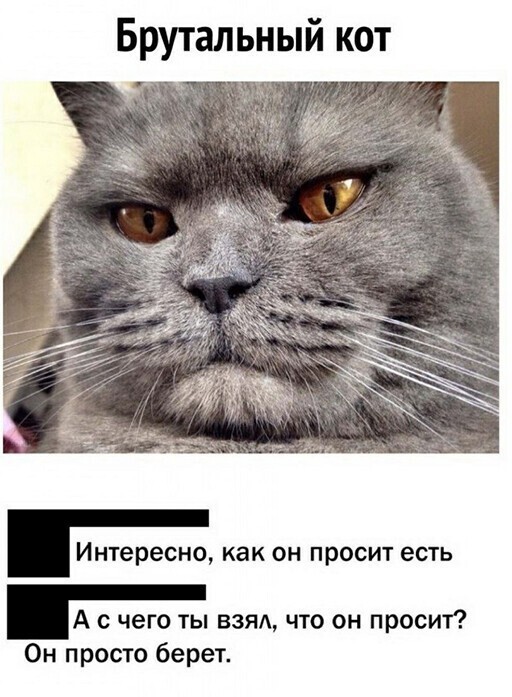 Скриншоты из социальных сетей. Часть 1268 (30 фото) 66f87e623dcc1.jpeg