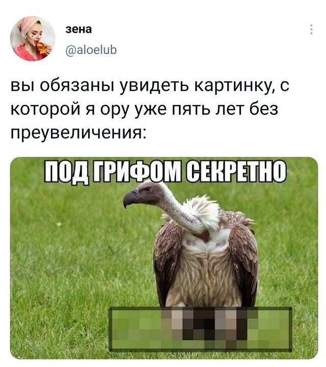 Скриншоты из социальных сетей. Часть 1269 (50 фото) 66f87e31629f2.jpeg
