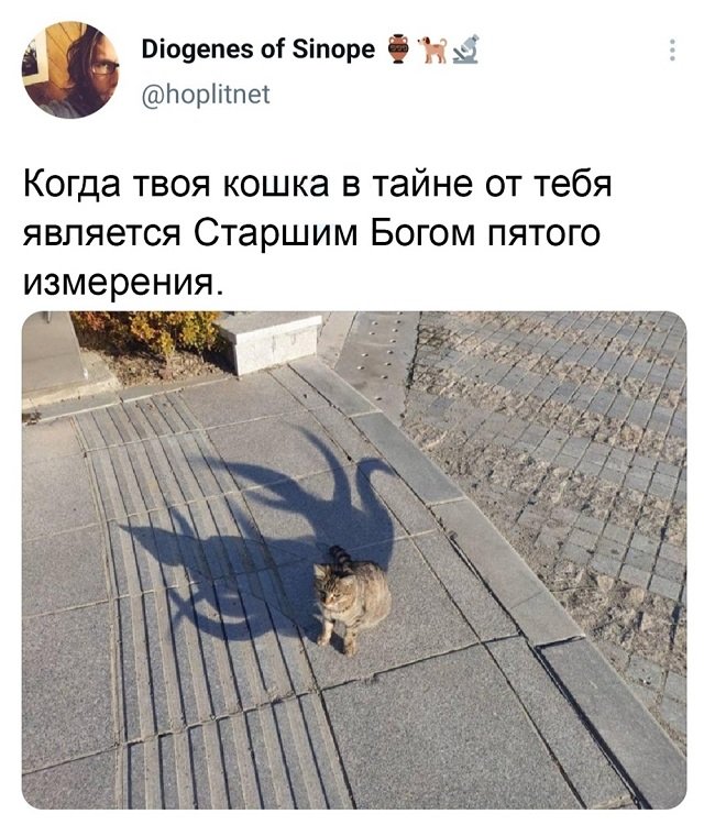 Скриншоты из социальных сетей. Часть 1279 (50 фото) 66f87c9515009.jpeg
