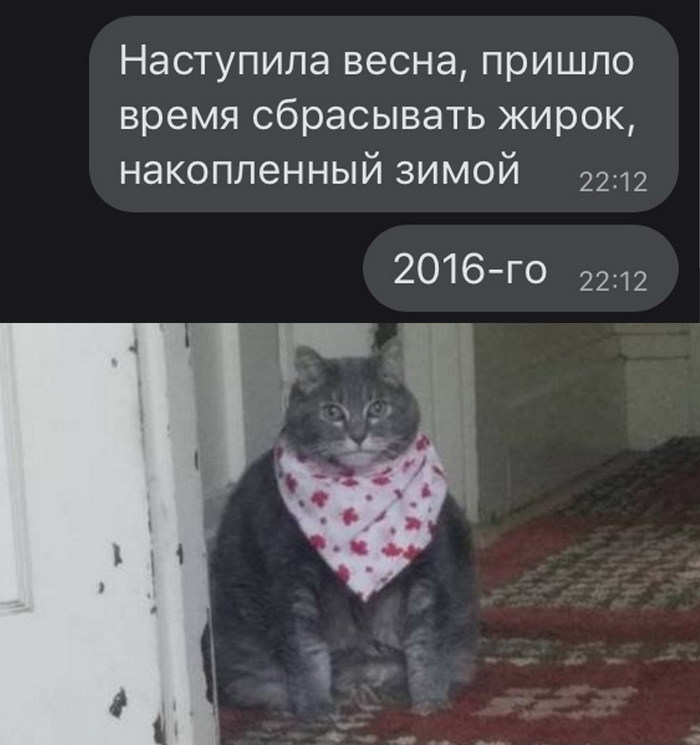 Скриншоты из социальных сетей. Часть 1280 (30 фото) 66f87c6ad8890.jpeg
