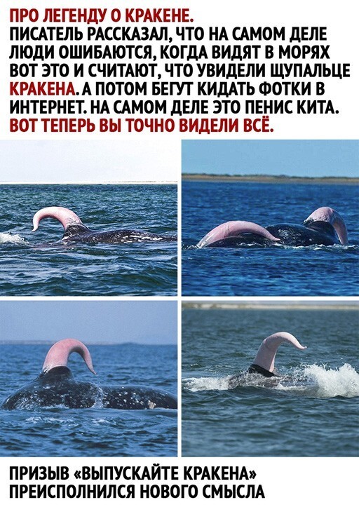 Скриншоты из социальных сетей. Часть 1292 (30 фото) 66f87a6b28931.jpeg