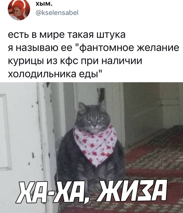 Скриншоты из социальных сетей. Часть 1294 (43 фото) 66f87a0da9059.jpeg