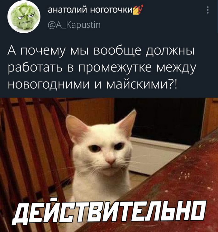 Скриншоты из социальных сетей. Часть 1300 (30 фото) 66f8791739ee8.jpeg
