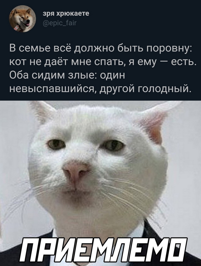 Скриншоты из социальных сетей. Часть 1329 (30 фото) 66f8746b9d424.jpeg