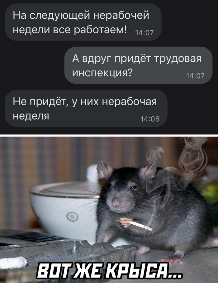 Скриншоты из социальных сетей. Часть 1333 (30 фото) 66f873bc8e728.jpeg