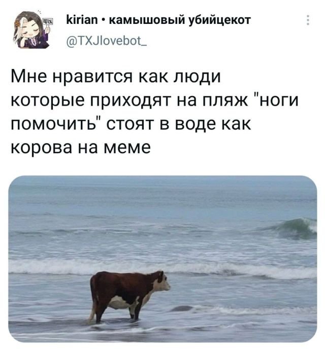 Скриншоты из социальных сетей. Часть 1339 (30 фото) 66f872cd75426.jpeg