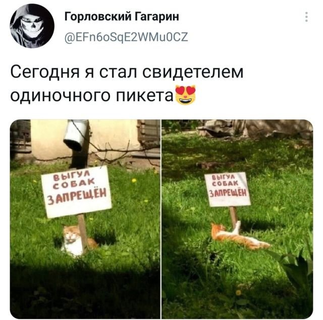 Скриншоты из социальных сетей. Часть 1350 (30 фото) 66f8712360269.jpeg