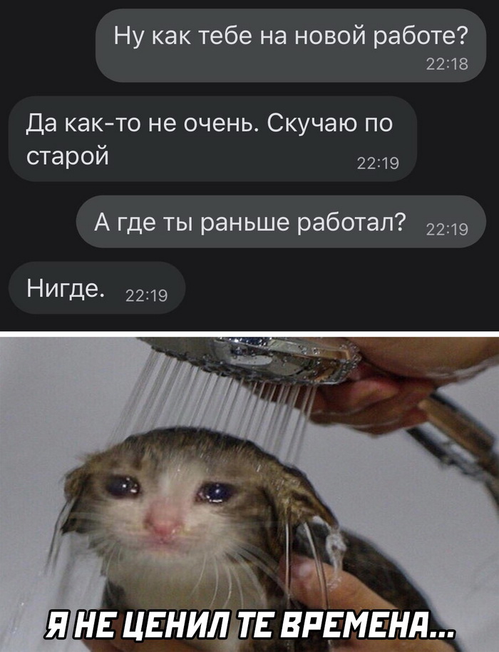 Скриншоты из социальных сетей. Часть 1375 (30 фото) 66f86d5ee766f.jpeg