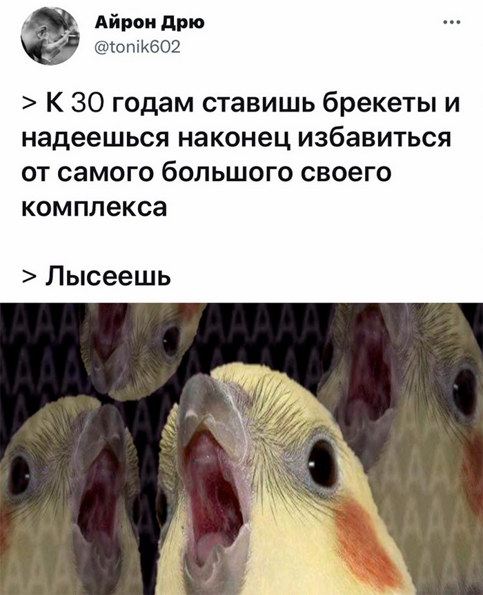 Скриншоты из социальных сетей. Часть 1376 (40 фото) 66f86d2fdd928.jpeg