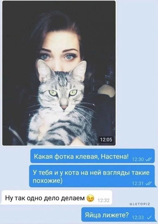 Скриншоты из социальных сетей. Часть 1381 (38 фото) 66f86c654f6e7.jpeg