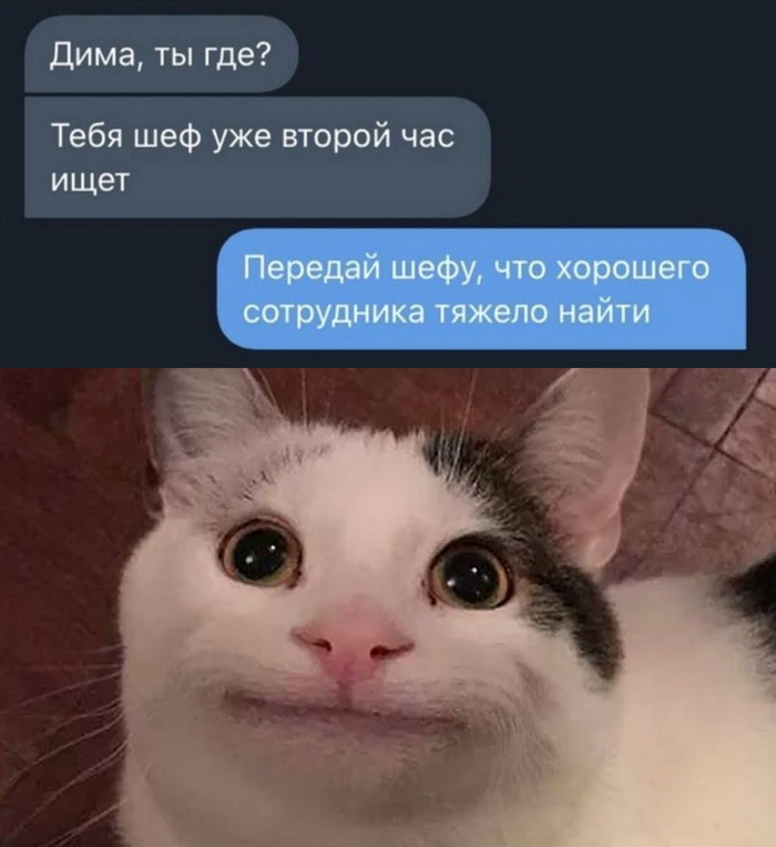 Скриншоты из социальных сетей. Часть 1395 (30 фото) 66f86a066ea81.jpeg