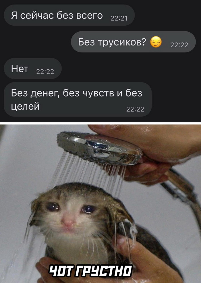 Скриншоты из социальных сетей. Часть 1396 (40 фото) 66f869d7193f0.jpeg