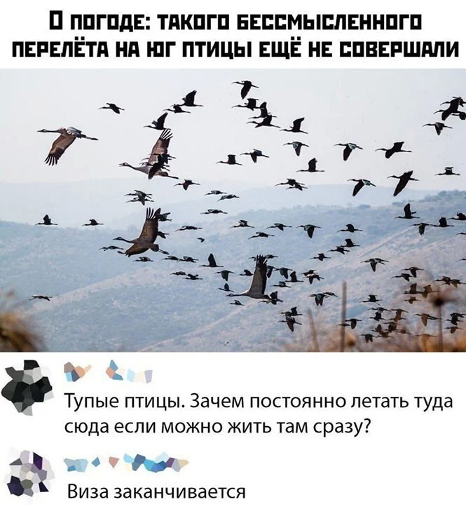 Скриншоты из социальных сетей. Часть 1404 (30 фото) 66f8689e69f18.jpeg