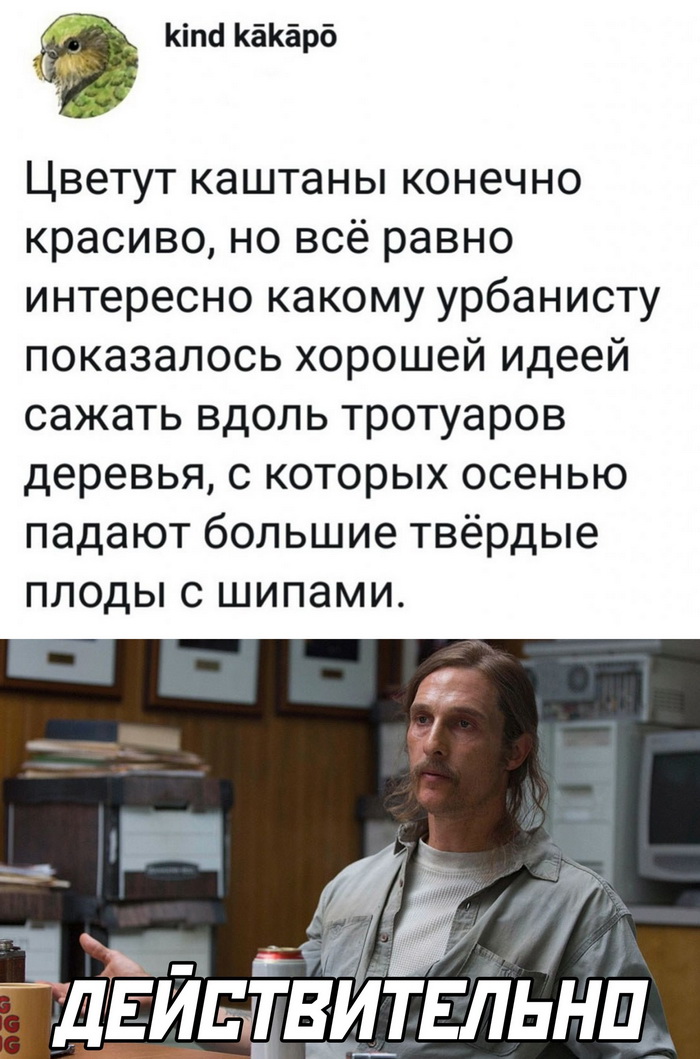 Скриншоты из социальных сетей. Часть 1416 (30 фото) 66f866c3aab24.jpeg
