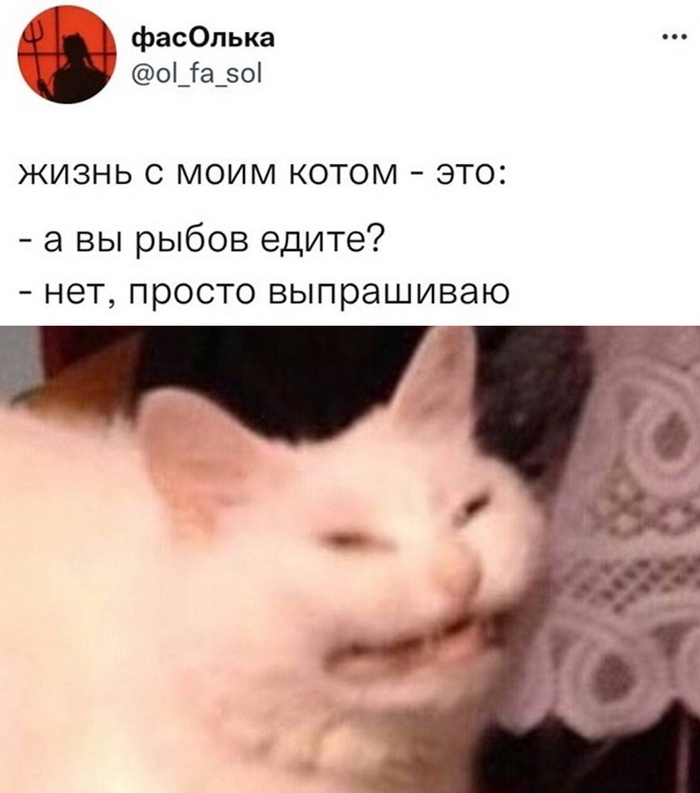 Скриншоты из социальных сетей. Часть 1418 (30 фото) 66f86679f0aeb.jpeg