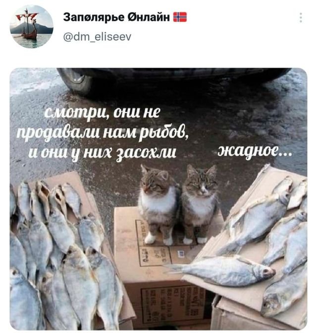 Скриншоты из социальных сетей. Часть 1424 (30 фото) 66f8659231eee.jpeg